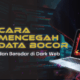 Cara Mencegah Data Anda Bocor di Dark Web